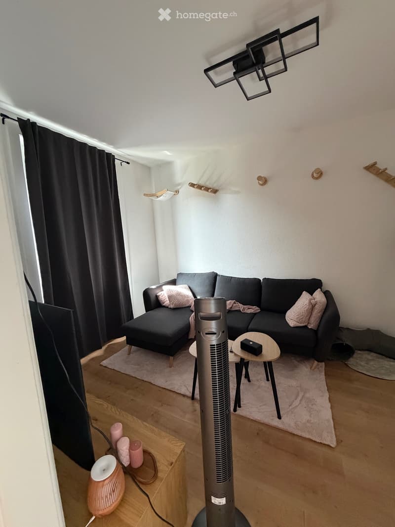 Appartement 3.5 pces à louer (3)