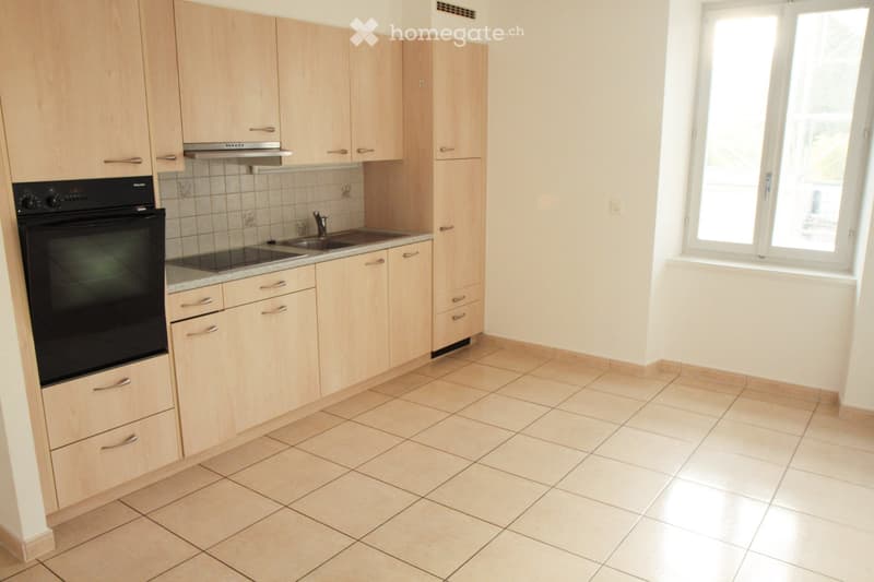 Rez-de-Chaussée avec accès jardin - Rue Winkelried 35 (2)