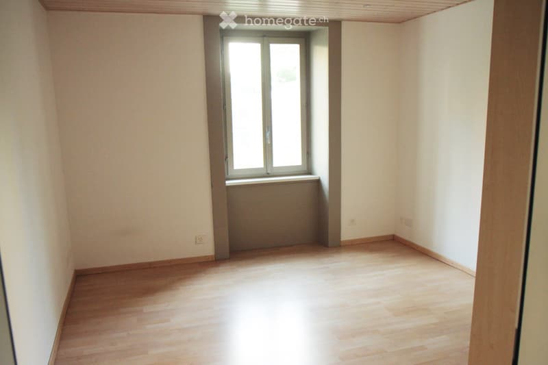 Rez-de-Chaussée avec accès jardin - Rue Winkelried 35 (4)