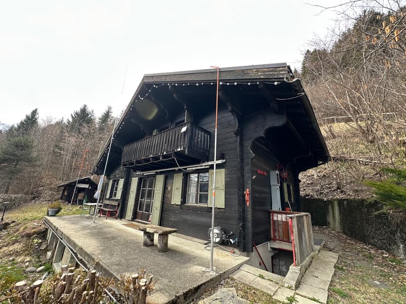 Chalet à démonter et à emporter (1)