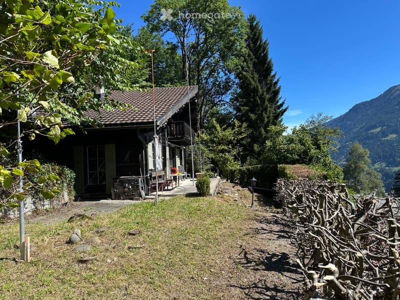 Chalet à démonter et à emporter (2)