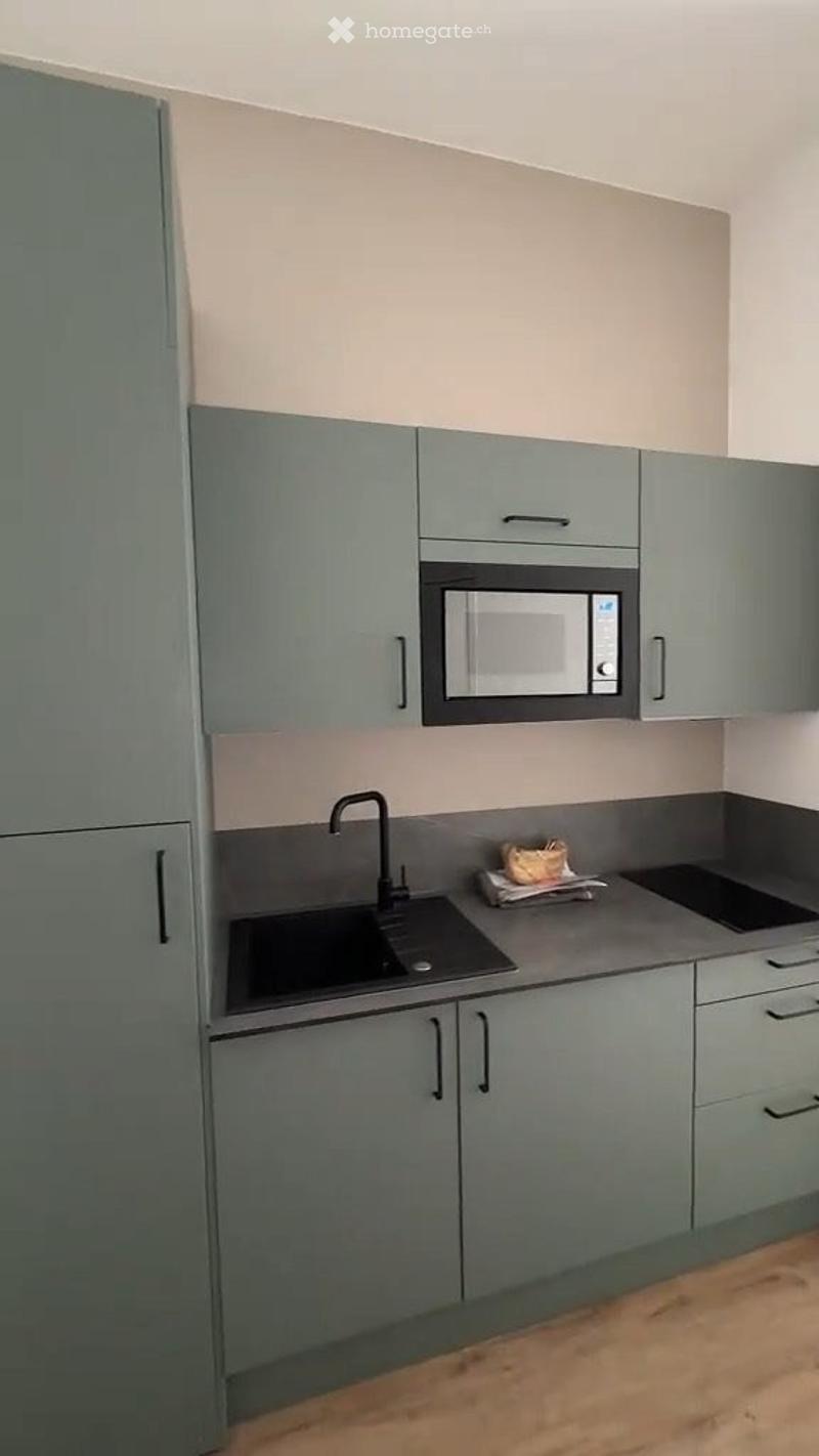 Superbe appartement meublé de 1,5 pièce à Ecublens Lausanne (3)