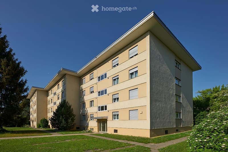 Charmante 3,5-Zimmer-Wohnung mit Balkon in Uster (5)
