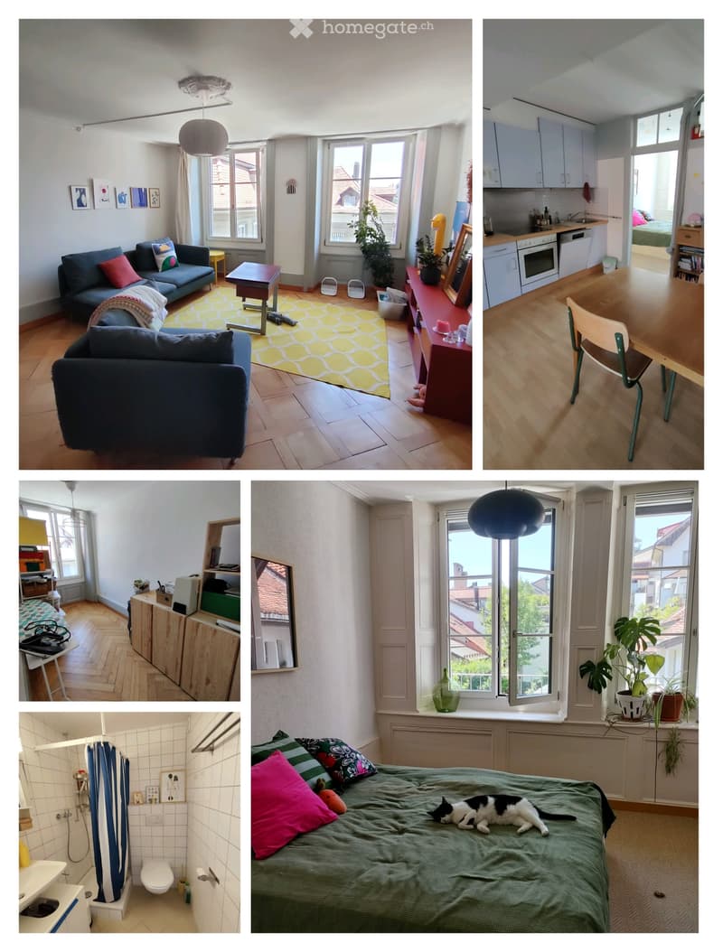 Appartement au centre ville (2)
