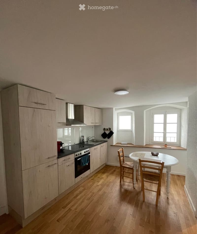 Appartement 2.5 meublé à louer - Nyon Rive (3)