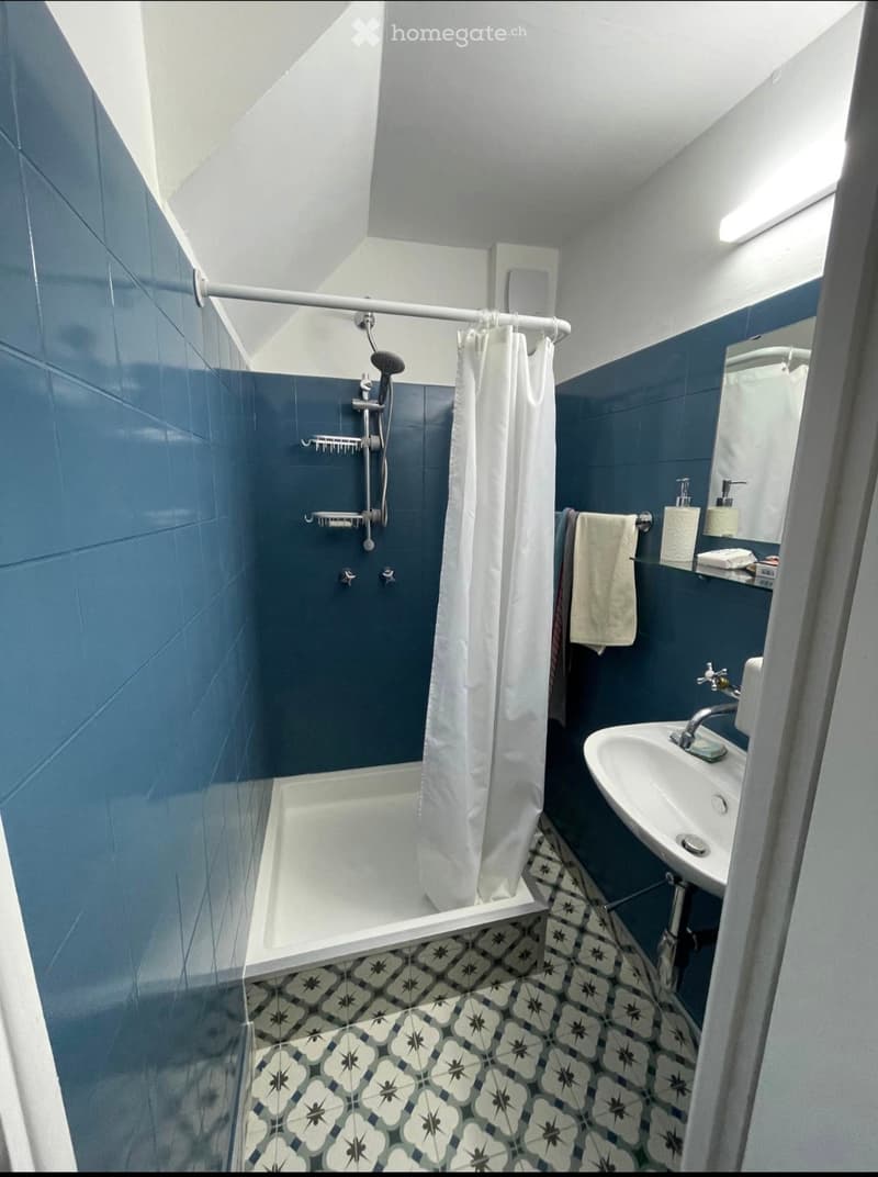 Appartement 2.5 meublé à louer - Nyon Rive (4)