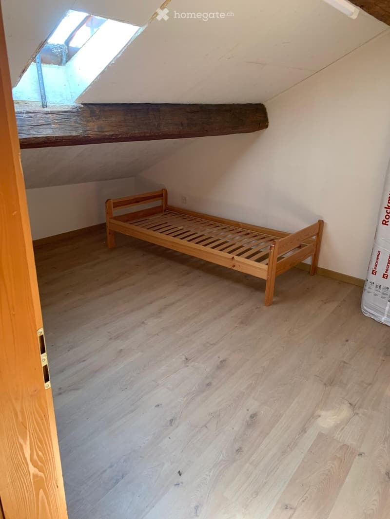 CHARMANTE MAISON MITOYENNE AVEC POTENTIEL DE DÉVELOPPEMENT (6)