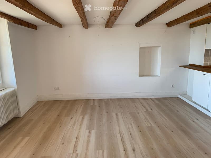 CHARMANTE MAISON MITOYENNE AVEC POTENTIEL DE DÉVELOPPEMENT (8)