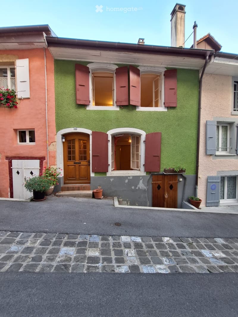 CHARMANTE MAISON MITOYENNE AVEC POTENTIEL DE DÉVELOPPEMENT (1)