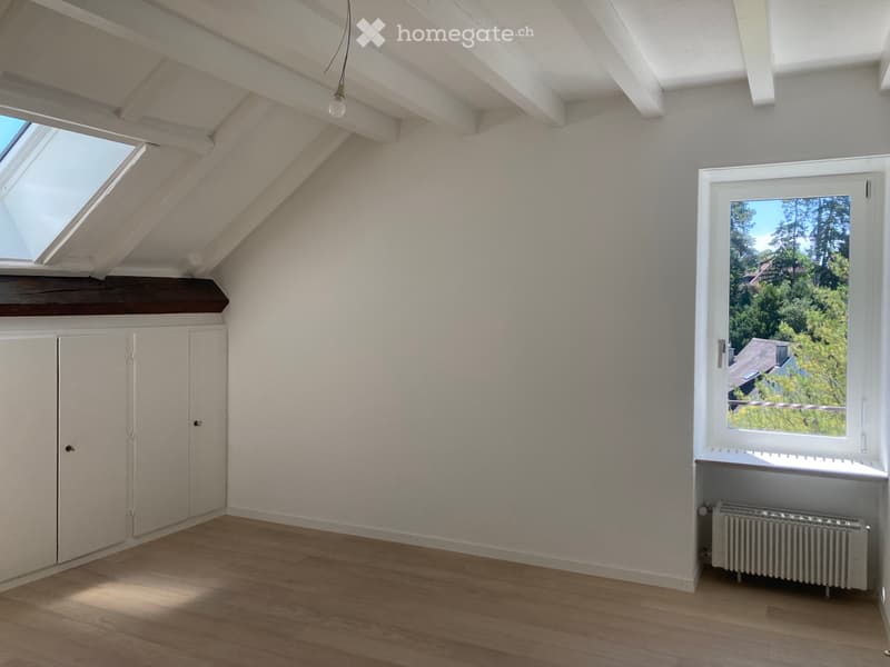 Superbe appartement de caractère avec vue sur le lac (5)