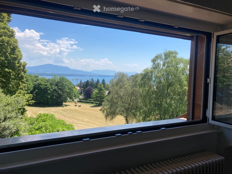 Superbe appartement de caractère avec vue sur le lac (4)