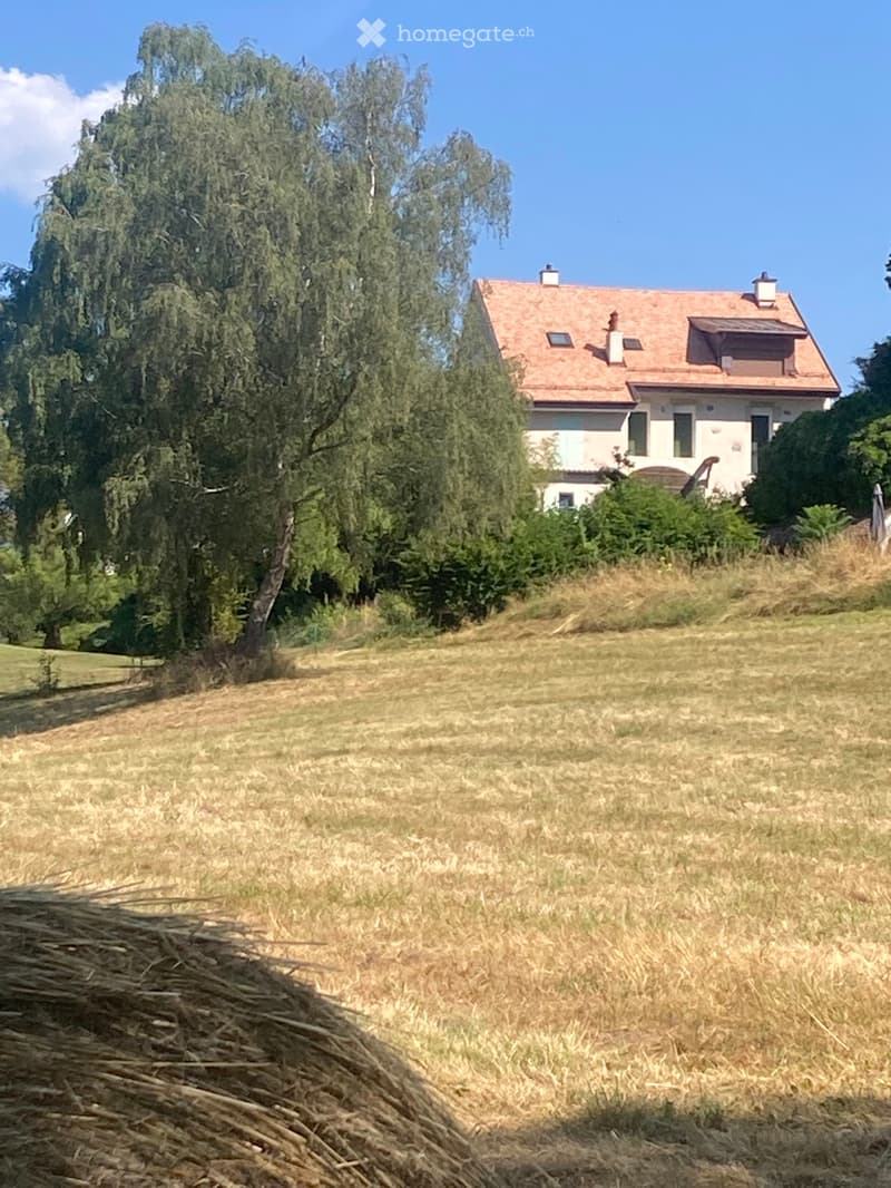 Superbe appartement de caractère avec vue sur le lac (1)