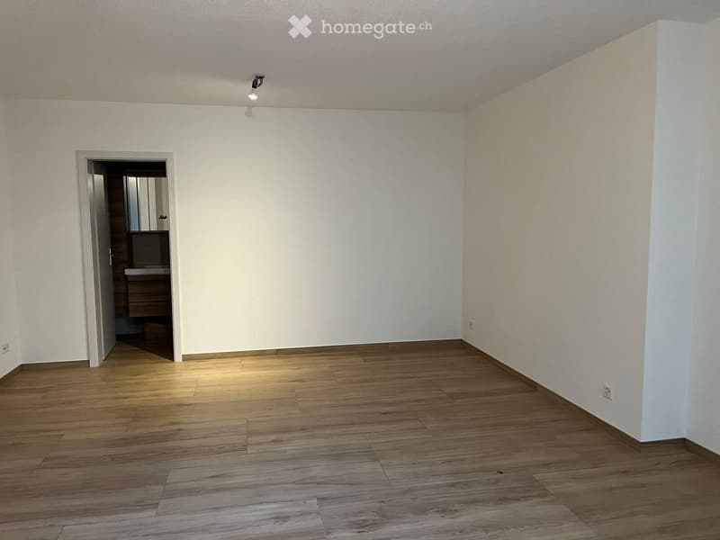 Location de studio à Court (3)
