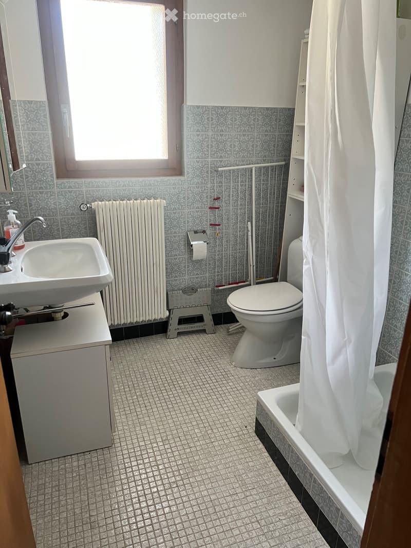 Nendaz - Studio cosy en plein centre (location annuelle) (4)