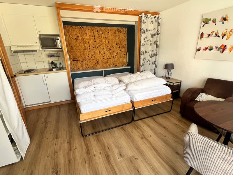 Nendaz - Studio cosy en plein centre (location annuelle) (3)