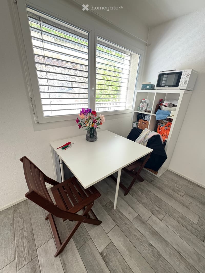 A louer, apprartement 1.5 pièces à Sion (3)