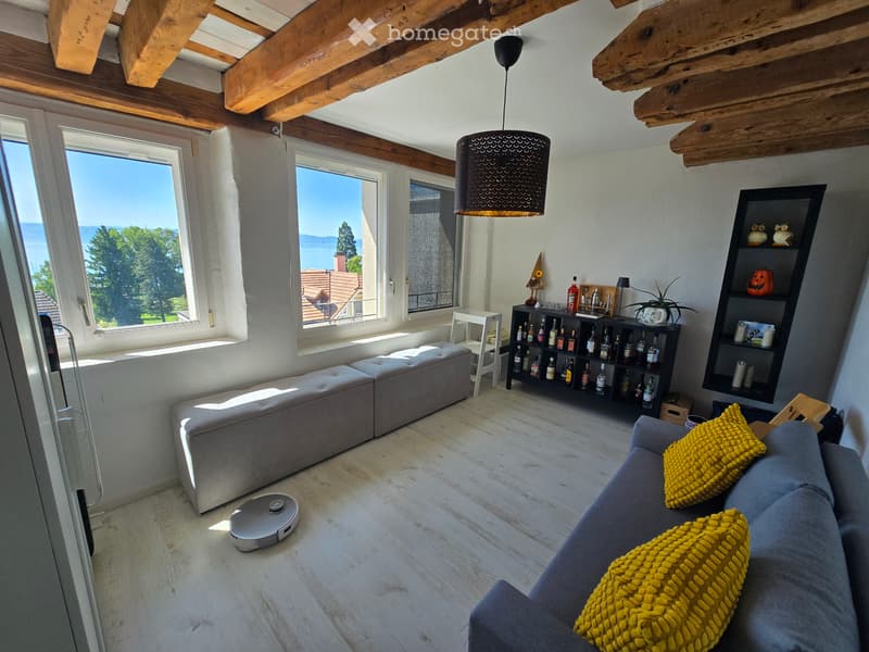 4 pièces avec vue lac, 3 chambres et parking (5)