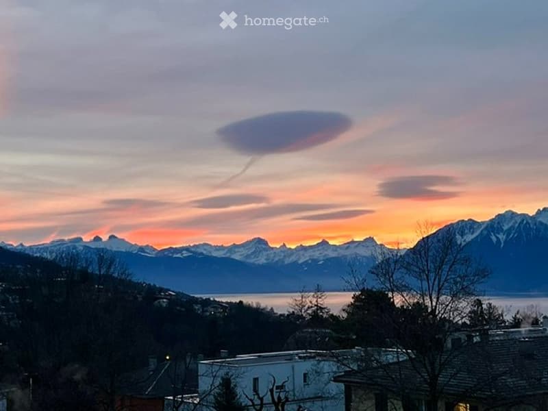 Coup de coeur à Pully Superbe 3.5 pièces avec vue sur le lac (1)