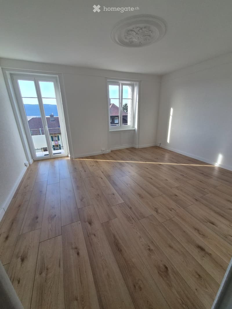 Appartement de 3.5 pièces (entièrement rénové) (1)