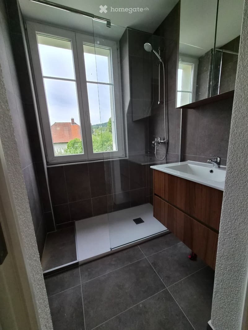 Appartement de 3.5 pièces (entièrement rénové) (2)