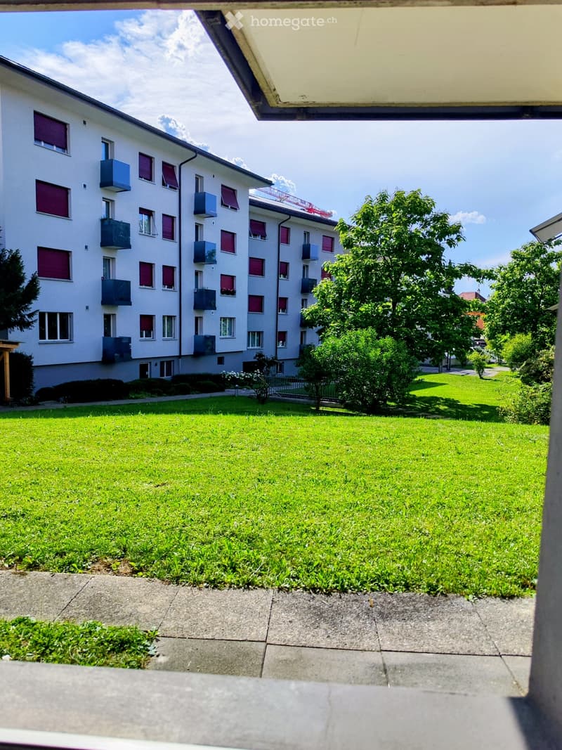 Studio Wohnung in Thun - Nachmieter gesucht (1)