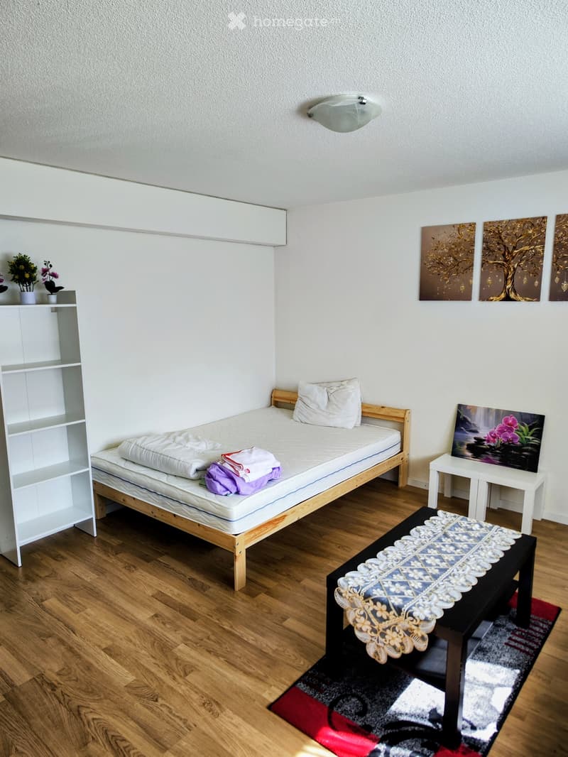 Studio Wohnung in Thun - Nachmieter gesucht (3)