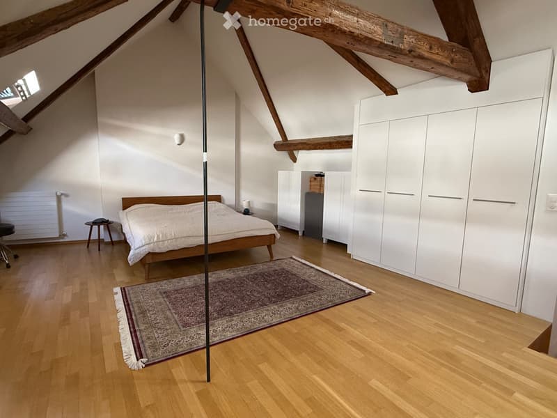 Reprise de bail Superbe loft 140 m² plein cur de Lausanne (5)