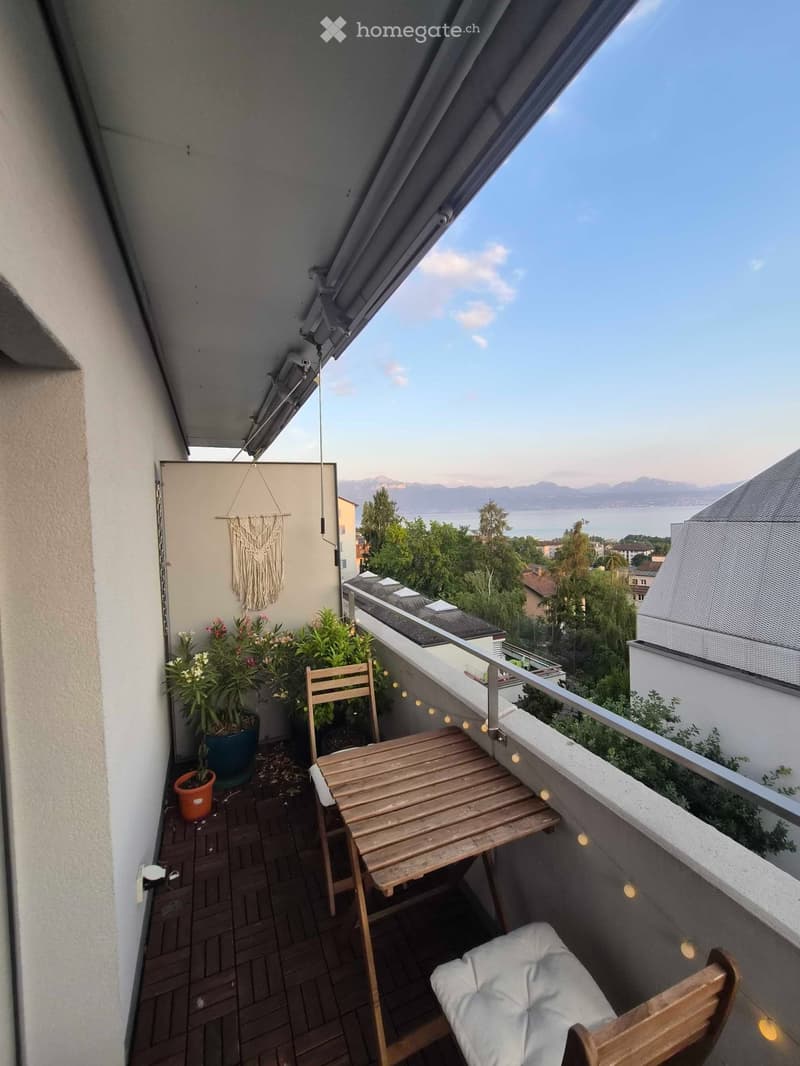 Appartement 2,5 pièces lumineux vue lac à Montelly (1)