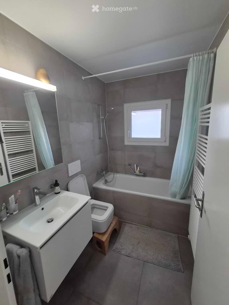 Appartement 2,5 pièces lumineux vue lac à Montelly (2)