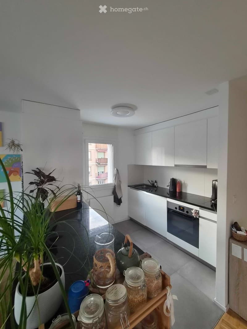 Appartement 2,5 pièces lumineux vue lac à Montelly (3)