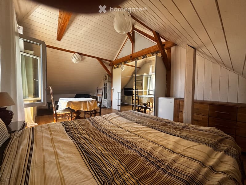 Une Chambre Attique 30m2 (1)