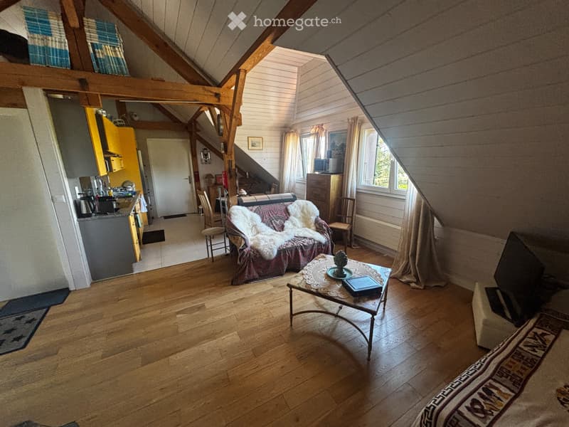 Une Chambre Attique 30m2 (2)
