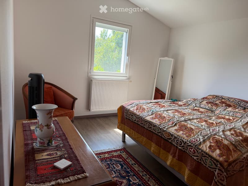Vend maison à 5 min de la frontière d'Hermance (4)