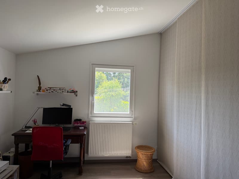 Vend maison à 5 min de la frontière d'Hermance (3)