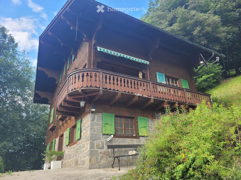 Magnifique chalet idéalement situé au calme (3)