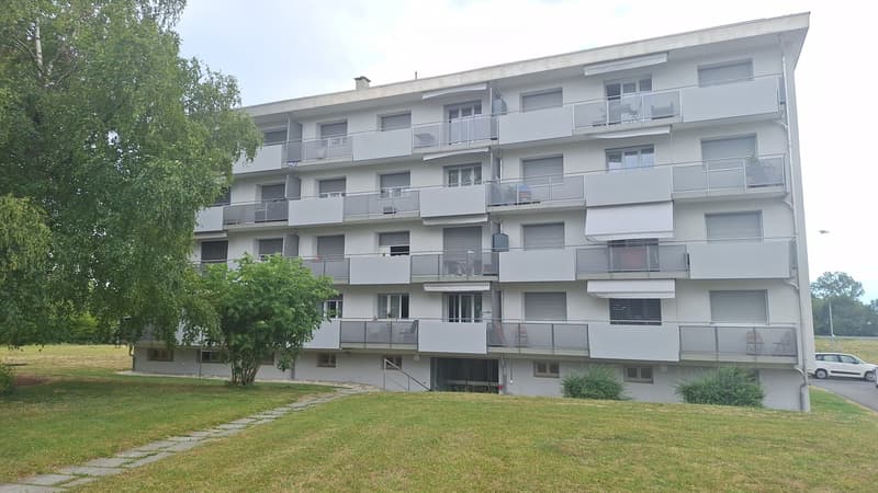 Magnifique appartement à louer pour le 1er septembre (5)