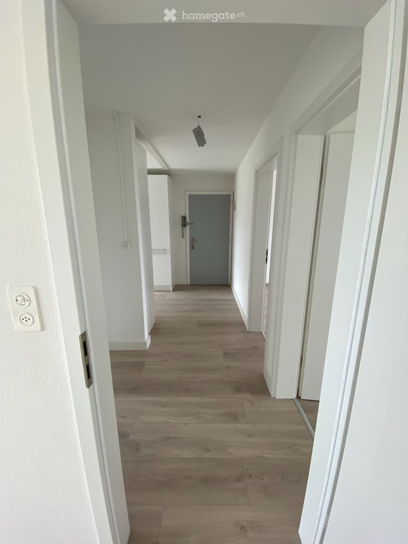 Magnifique appartement traversant de 3,5p entièrement rénové (2)