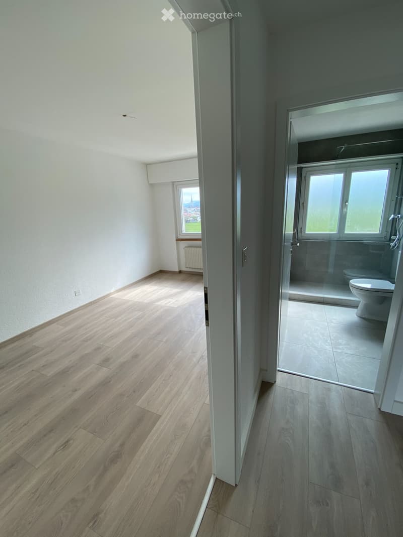 Magnifique appartement traversant de 3,5p entièrement rénové (3)