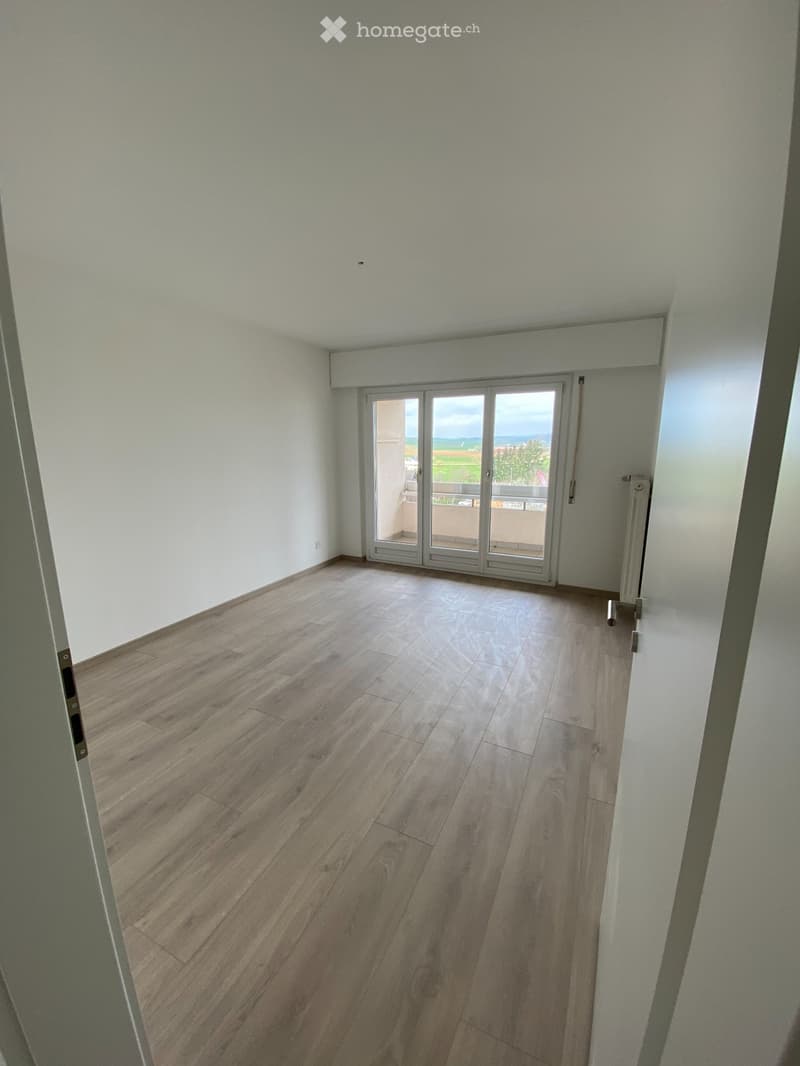 Magnifique appartement traversant de 3,5p entièrement rénové (5)