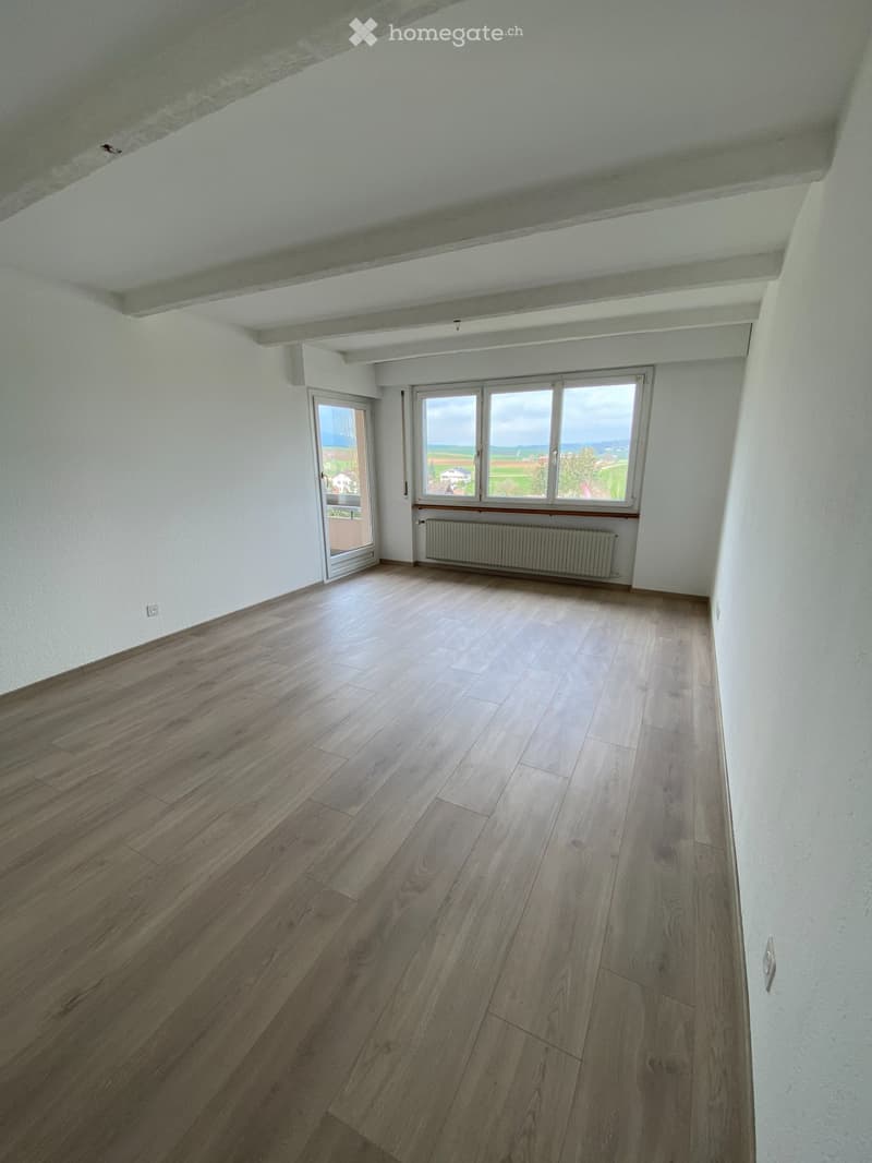 Magnifique appartement traversant de 3,5p entièrement rénové (4)