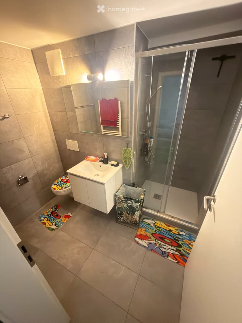 Chambre ou appartement 3,5 pièces meublé à sous-louer (2)