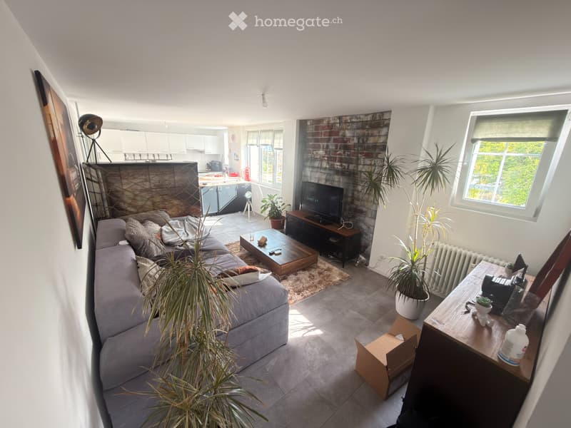 Chambre ou appartement 3,5 pièces meublé à sous-louer (3)