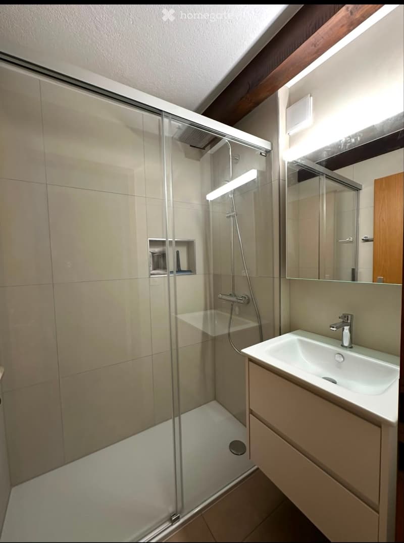 Appartement de 2,5 pièces La Neuveville (3)