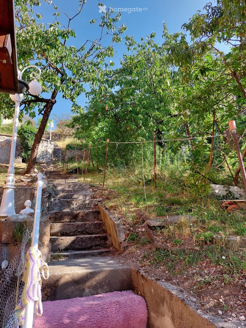 Appartement 50m2 avec terrasse pour 15 septembre 2026 (1)