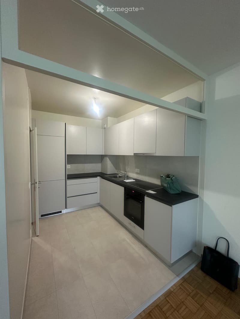 Appartement 4 pièces à Lancy (1)