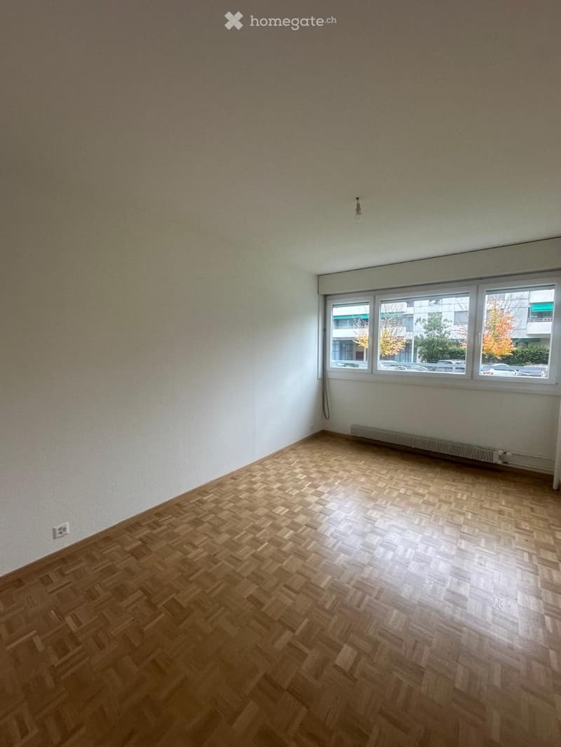 Appartement 4 pièces à Lancy (5)