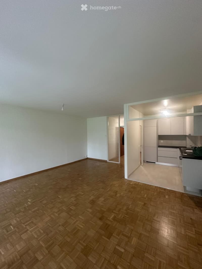 Appartement 4 pièces à Lancy (3)