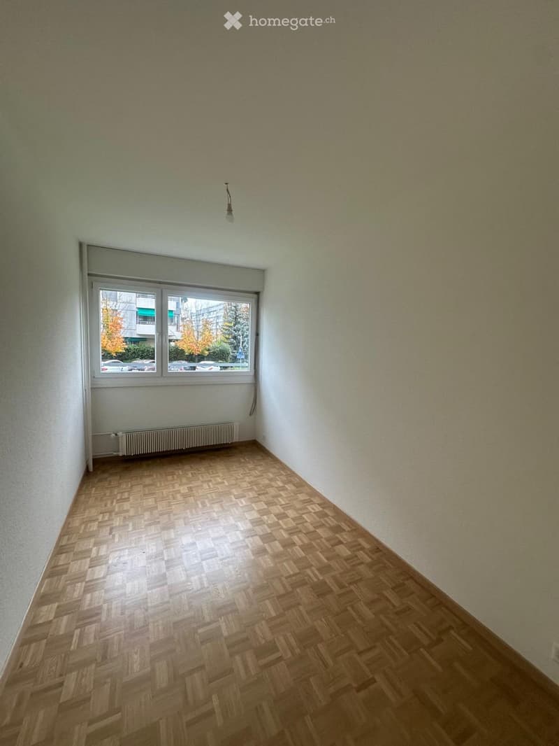 Appartement 4 pièces à Lancy (4)
