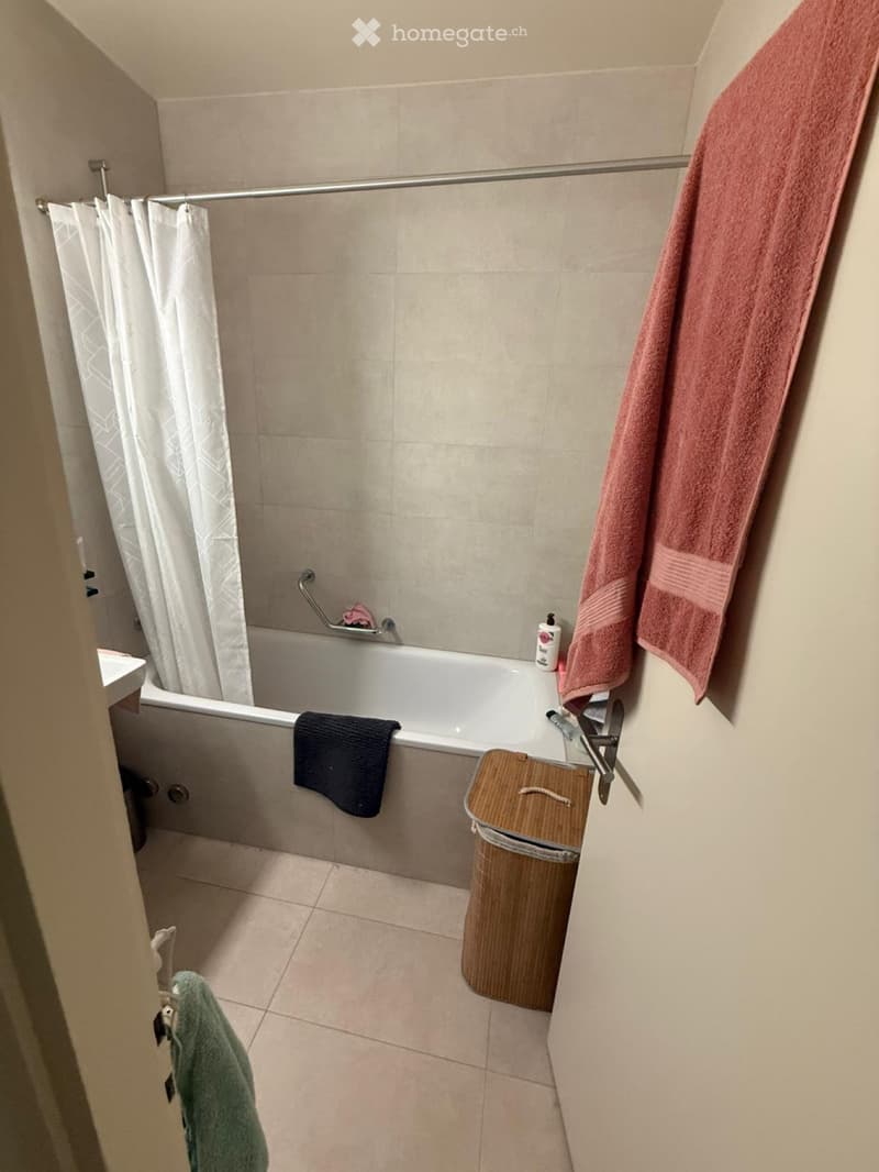 Appartement 4 pièces à Lancy (2)