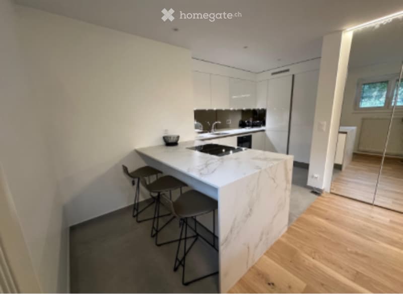 Appartement haut standing - Bernex (1)